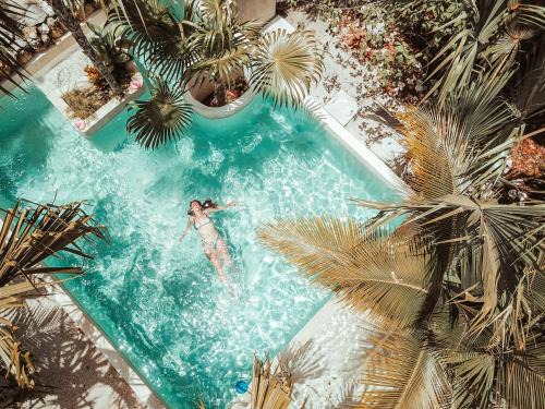 Buenavista Hotel | Hotel Buenavista Bacalar Jungle Experience