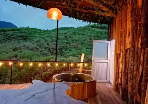 Gallinazo Cabin | Hotel Cabañas y Chalets lujosos Mágica Luna