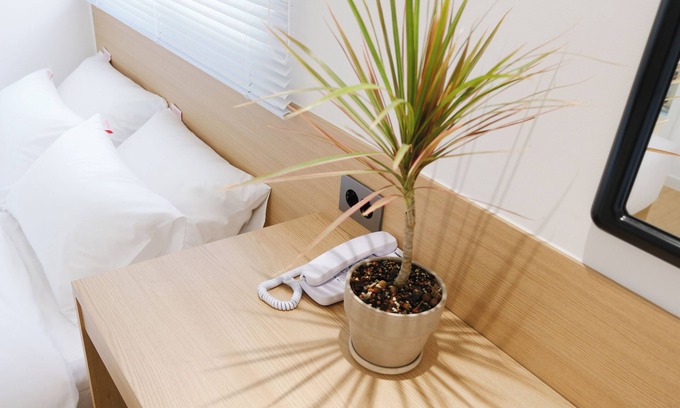 Pocheon Hotel | HOTEL CARPET