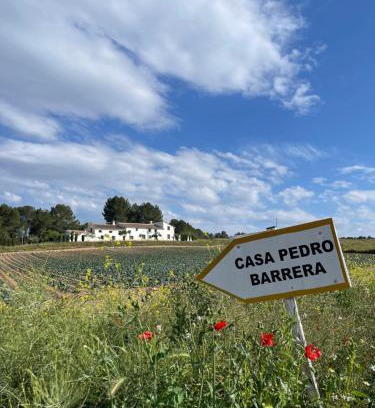 La Almudema Hotel | Hotel Casa Pedro Barrera