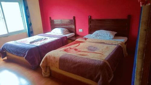 Sauraha House | Hotel Holidays Inn - Bagpacker's Home