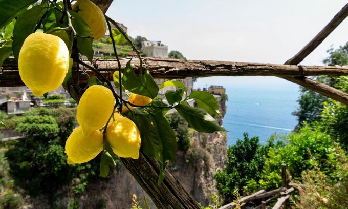 Pogerola Hotel | Hotel La Pergola