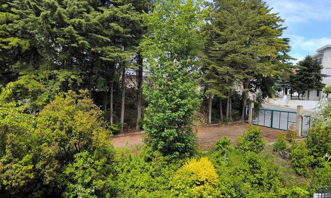 Celorico da Beira Hotel | Hotel Mira Serra