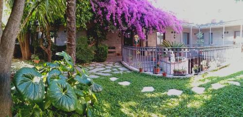 Pompei Hotel | Hotel Pace