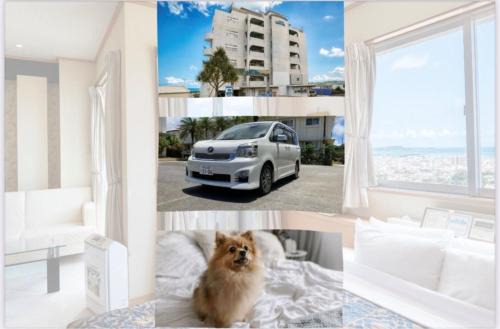 Hiyagon Hotel | HOTEL PACIFIC VIEW Rental car included & pet-friendly