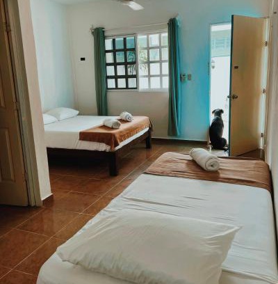 Downtown Holbox Apartment | Hotel Paraiso