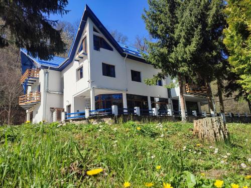 Geoagiu Hotel | Hotel Parc Geoagiu Bai