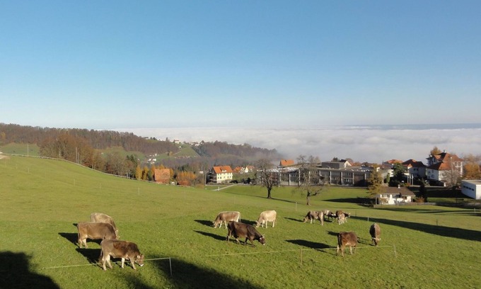 Heiden Hotel | Hotel Park