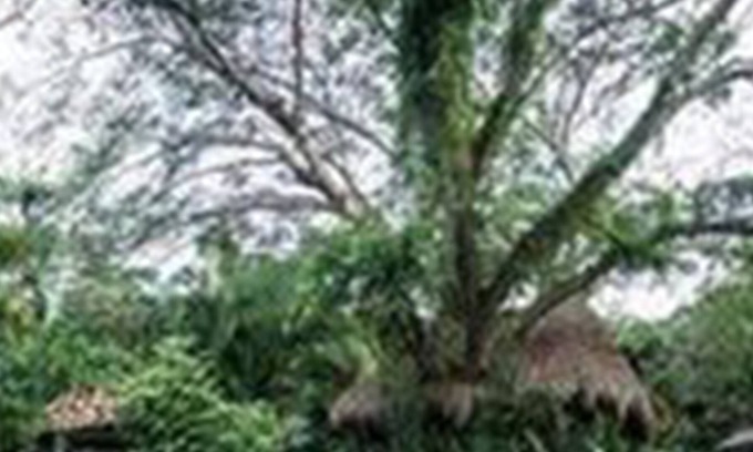 Jalcomulco Hotel | Hotel Quinto Sol