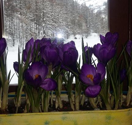 Usseaux Hotel | Hotel Residence Lago Laux