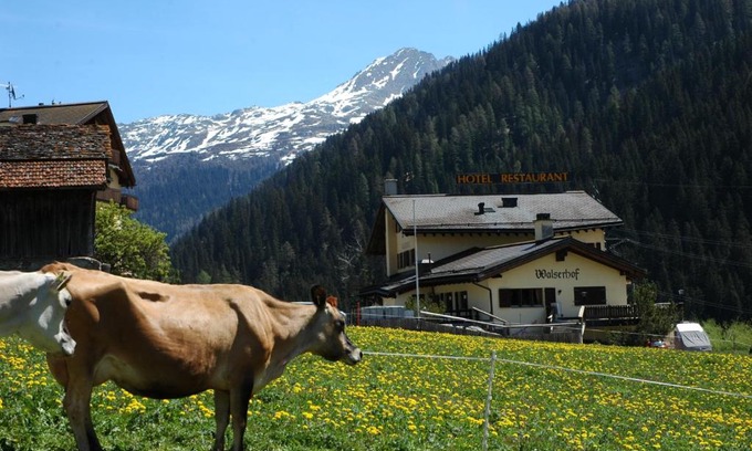 Medels im Rheinwald Hotel | Hotel Restaurant Walserhof