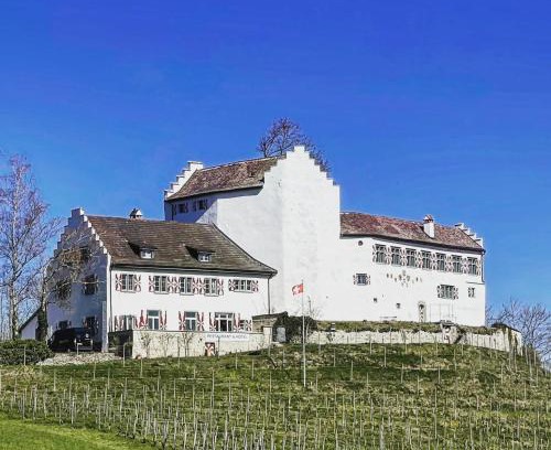 Andelfingen District Hotel | Hotel & Restaurant Schloss Schwandegg