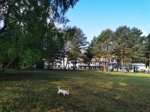 gmina Mosina Hotel | Hotel Szablewski