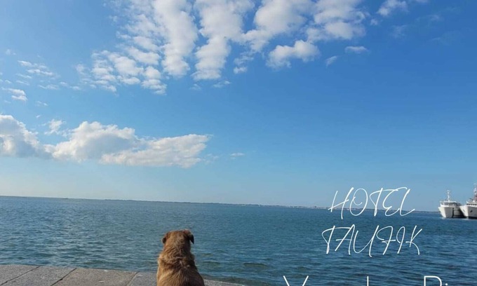 Centro Hotel | Hotel Taufik