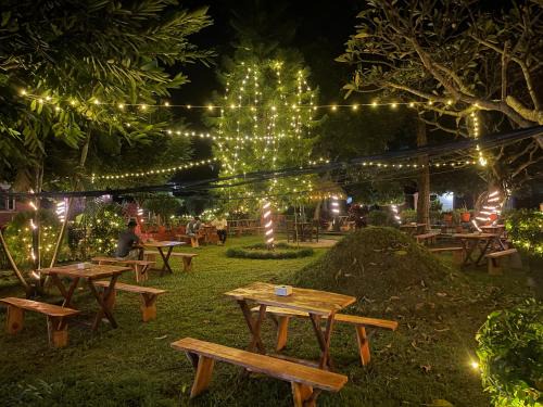 Sauraha Resort | Hotel Tharu Garden And Beer Bar