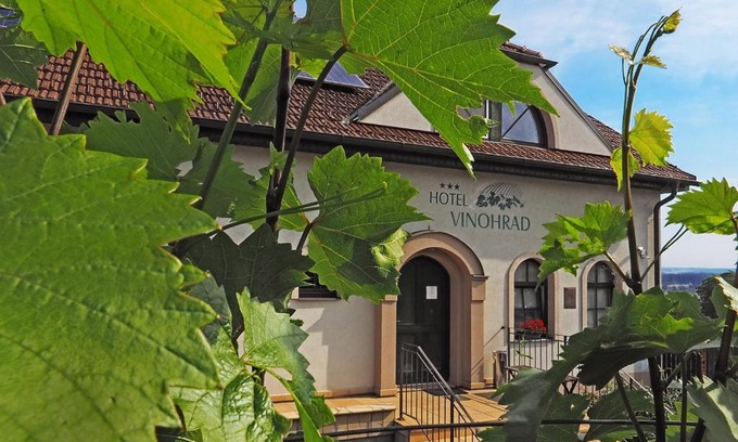 Milotice Hotel | Hotel Vinohrad