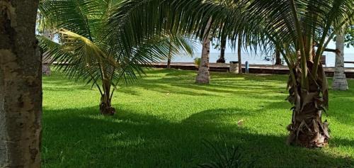Maumere Hotel | Hotel Wailiti