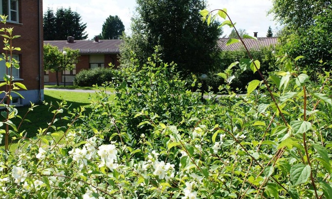Vindeln Hotel | Hotell Vindelngallerian
