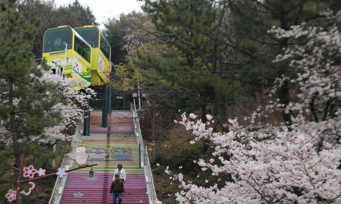 Palyong-dong Hotel | Hound Hotel Changwon Terminal