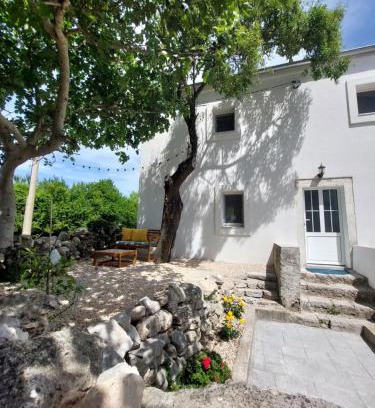 Belej House | House Belej - Lola