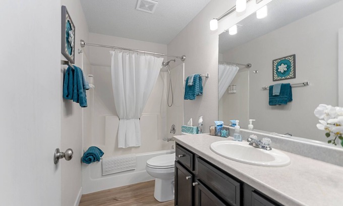 Buffalo Ridge House | House By Sanford Sports Complex - Family Friendly with private HOT TUB