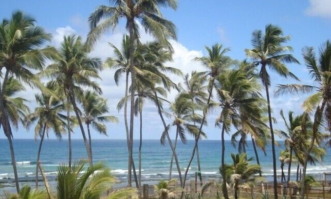 Vilas do Atlantico House | House by the Sea Bahia/Salvador