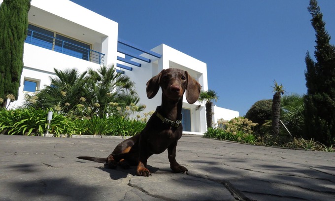 El Cuarton House | House