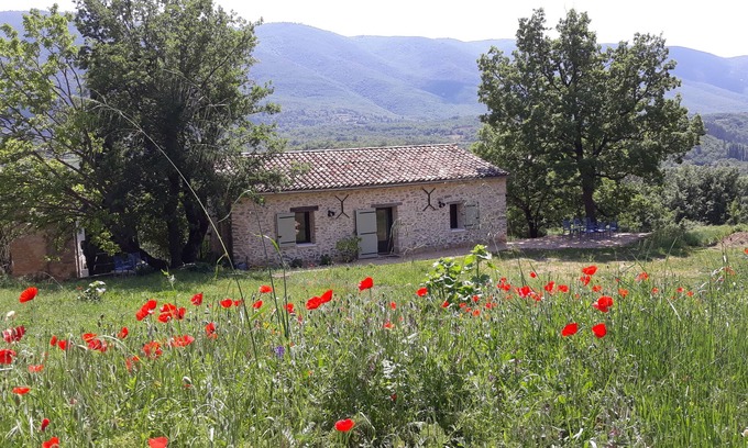 Saint-Martin-de-Castillon House | House from the 18th century, quiet with pool overlooking the Luberon