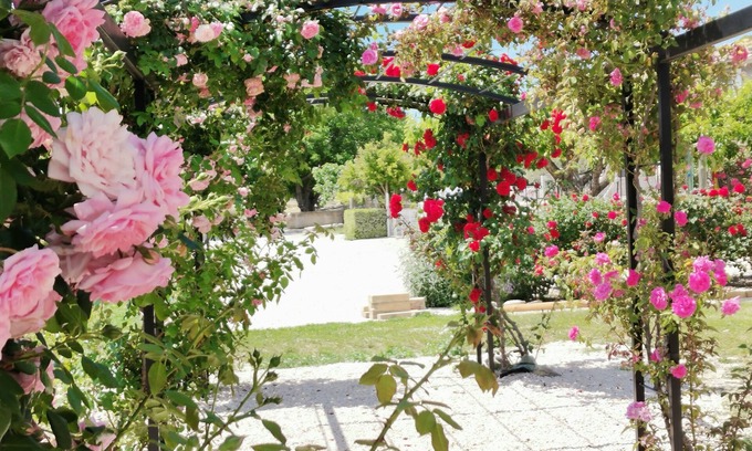 Modene House | House in Provence Lavender (pool + air conditioning)