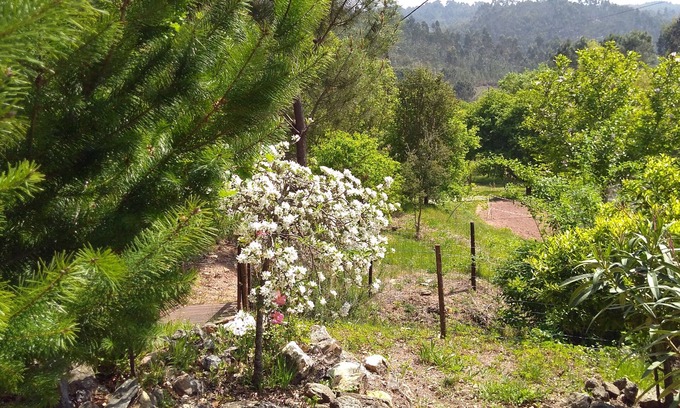 Figueiro dos Vinhos House | House Milhariça, Figueiro dos Vinhos