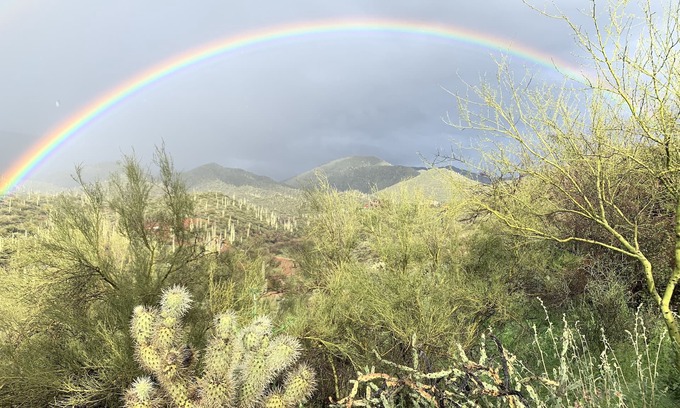 Maricopa County Cottage | "House of light" 360' views saguaro forests, canyons, mesas & mountains
