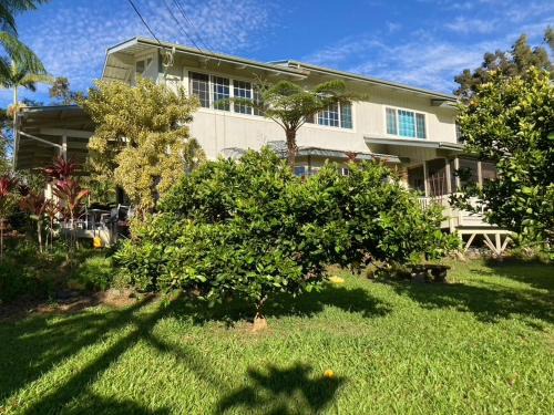 Hilo House | House of Light Sanctuary