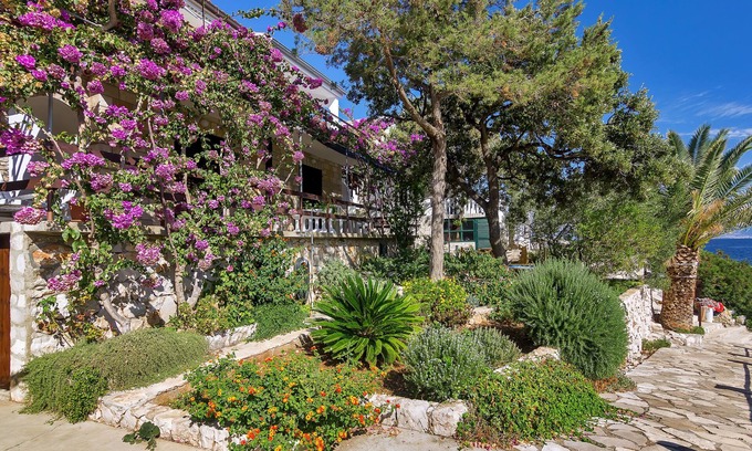 Pokrivenik House | House Sea rose (57941-K1) - Zastrazisce - island Hvar