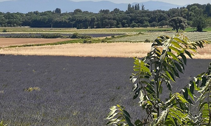 Suze-la-Rousse House | HOUSE sleeping 10 to 12 in Provence