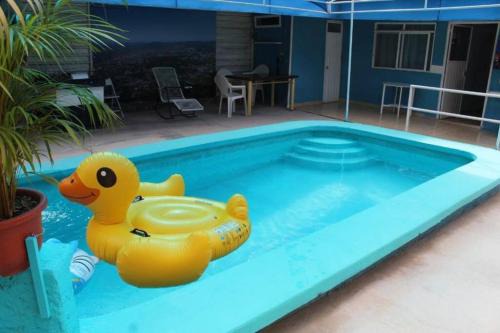 Huajuapan House | House With a Pool