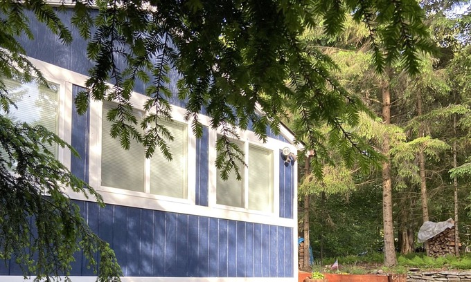 Parksville House | Huckleberry Lodge - Stunning Lakeside Catskills Cabin 2 hours from NYC