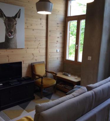 Huez-en-Oisans Apartment | Huez village beautiful apartment