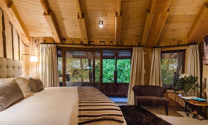 Neltume Cabin | Huilo Huilo Reino Fungi