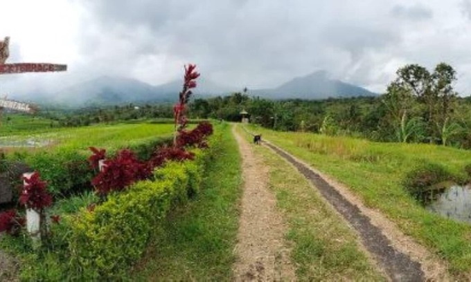 Penebel Cabin | Humble Cabin surrounded by Nature Vibes - Rice Fields and waterfalls