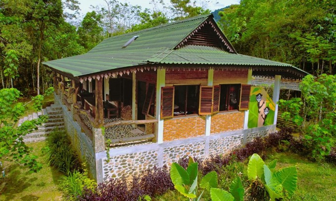 Bohorok House | Hutan Subur Guest House and Volunteering