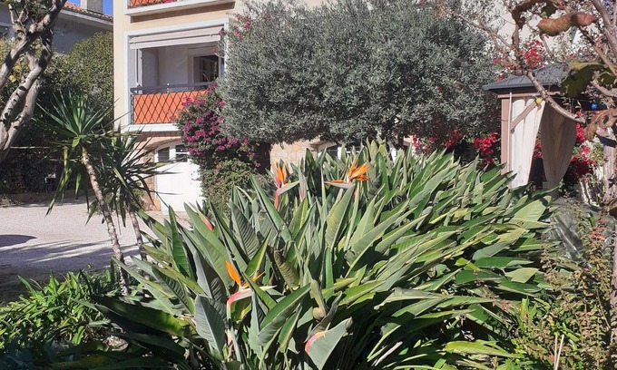 Hyeres City Centre Apartment | Hyères town center Large apartment (6 pers)