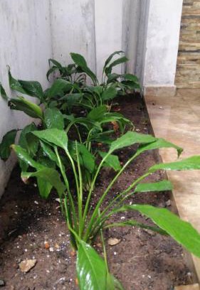 Ouidah Villa | Hyacinthe