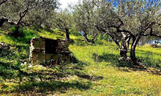 Pennadomo House | I 3 falchi Bed & Breakfast