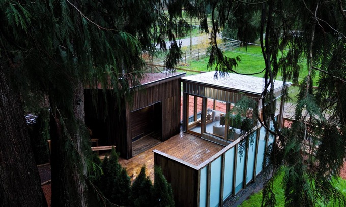 Langley Cottage | Icelandic Inspired Tiny Home Nestled in Green Space.