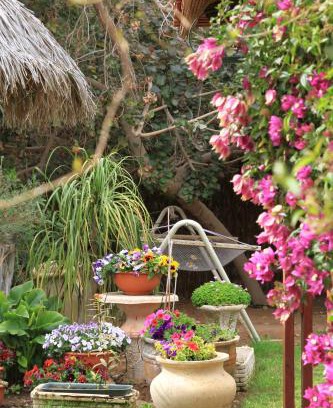 Paran Cabin | Idan Lodge in the Arava