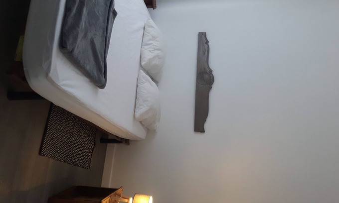 Bagneres-de-Bigorre Apartment | Ideal cure Apartment ground floor 1 bedroom
