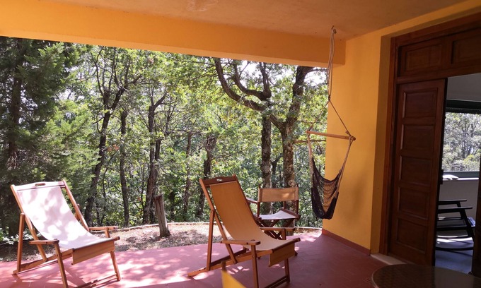 San Vincenzo La Costa House | Ideal guesthouse for families and nature lovers