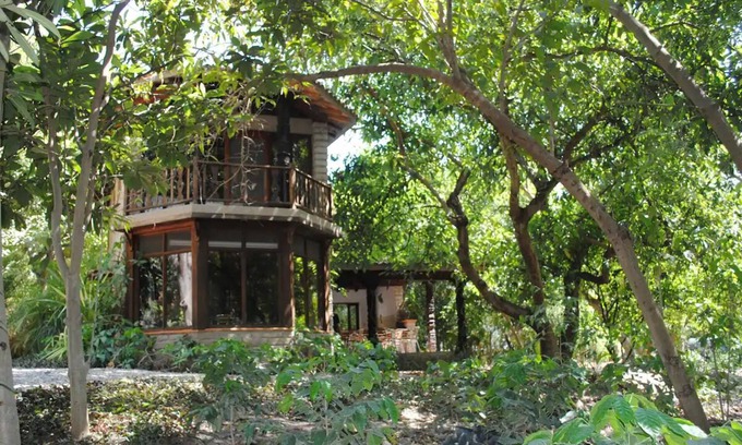 Xoxocotla Cabin | Idyllic cottage in the middle of nature close to river