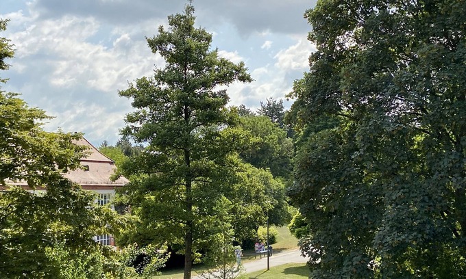 Bad Mingolsheim Apartment | Idyllic vacation apartment by the spa gardens, view of the countryside, 1st floor, 98sqm, 5 people