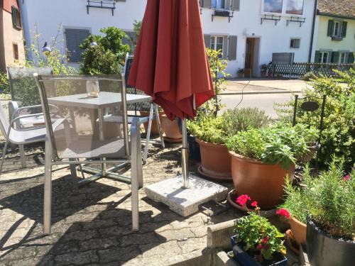 Ermatingen Apartment | Idyllische Ferienwohnung am See